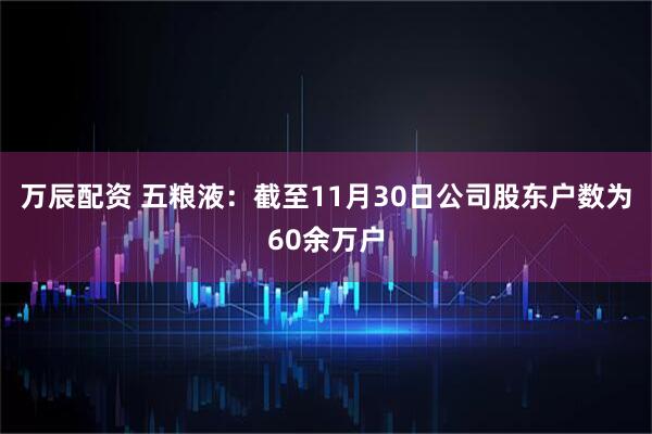 万辰配资 五粮液：截至11月30日公司股东户数为60余万户