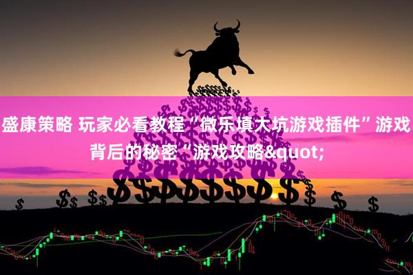 盛康策略 玩家必看教程“微乐填大坑游戏插件”游戏背后的秘密“游戏攻略"
